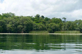Rio Dulce