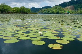 Rio Dulce