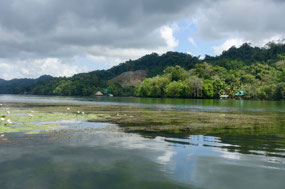 Rio Dulce