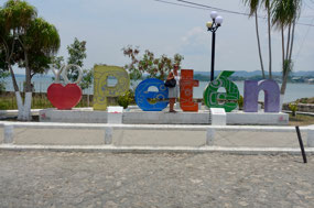 Flores