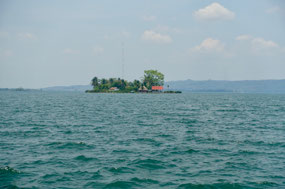 von Flores aus