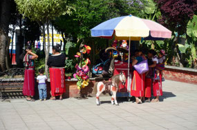 unterwegs im Altiplano