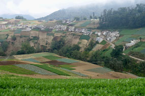 unterwegs im Altiplano