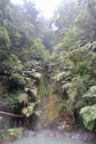Las Fuentes Georginas
