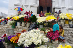 Blumen vor San Tomas