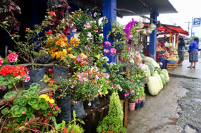 Blumenladen
