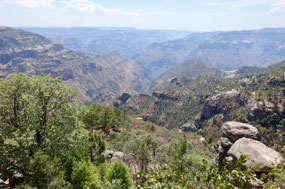Copper Canyon