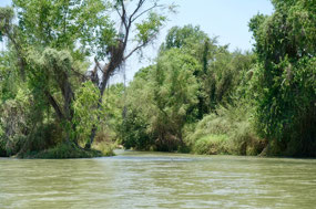Rio El Fuerte