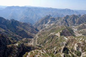 Copper Canyon