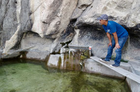 Trinkwasser sprudelt aus Fels