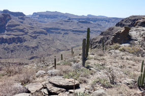 Baja California Sur