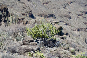 Baja California Sur
