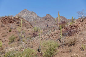 Baja California Sur