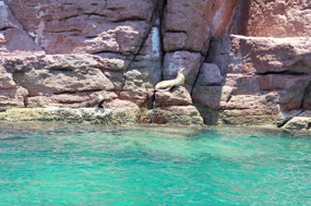 Espíritu Santo Insel