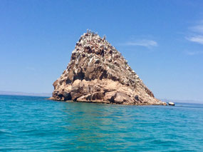Espíritu Santo Insel