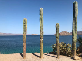 Baja California Sur