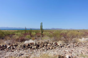 Baja California Sur
