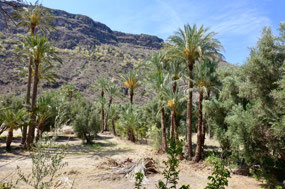 Garten Eden