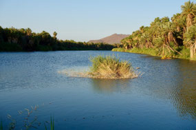 Oase San Ignacio