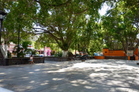 Plaza San Ignacio