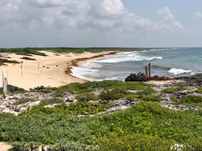 Isla Cozumel