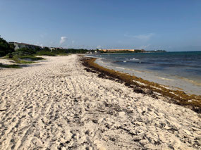 Playa del Carmen