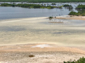 Isla Cozumel