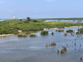 Isla Cozumel