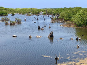 Isla Cozumel