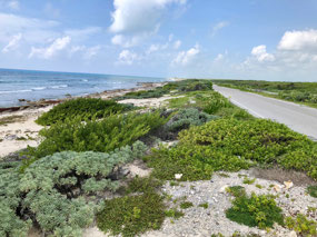 Isla Cozumel