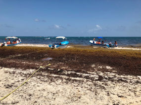 unterwegs nach Tulum