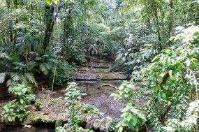 Maya-Stätte Palenque