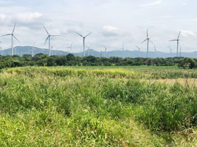 Windfarm