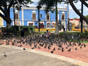 Campeche