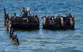 am Malecon