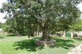 Hacienda