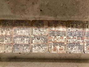 Maya Schrift