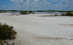 Damm zwischen Lagune und Küste