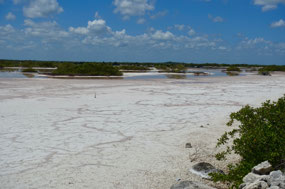 Damm zwischen Lagune und Küste