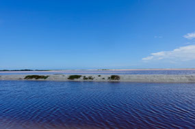 Laguna Las Coloradas