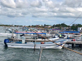 Rio Lagartos