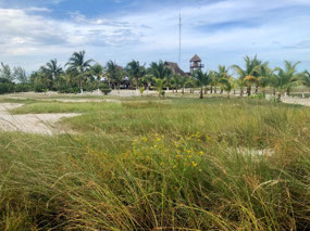 Isla Holbox