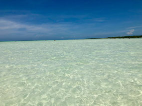 Isla Holbox