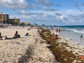 Cancun Zona Hotelera