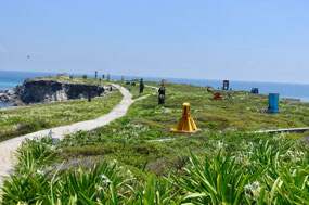 Punta Sur