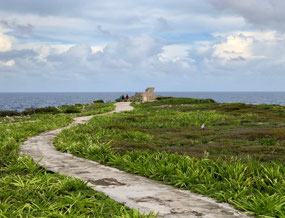 Punta Sur
