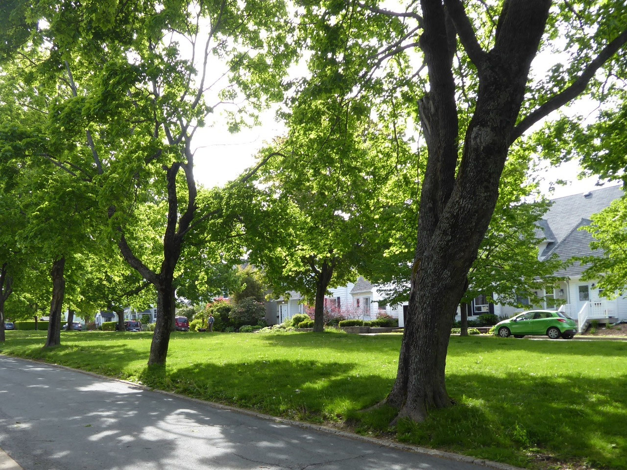 Hydrostone - Halifax, Nova Scotia. Gertrude and I went for lunch