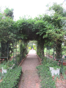 Fairview gardens