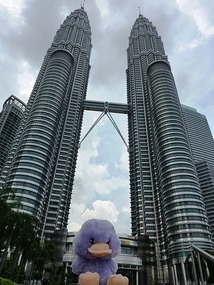 Petronas Towers