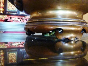 Another snake temple snake